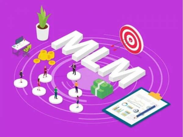 MLM Software Development Company in Punjab